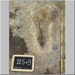 07-px84b-10-15 dodm.jpg